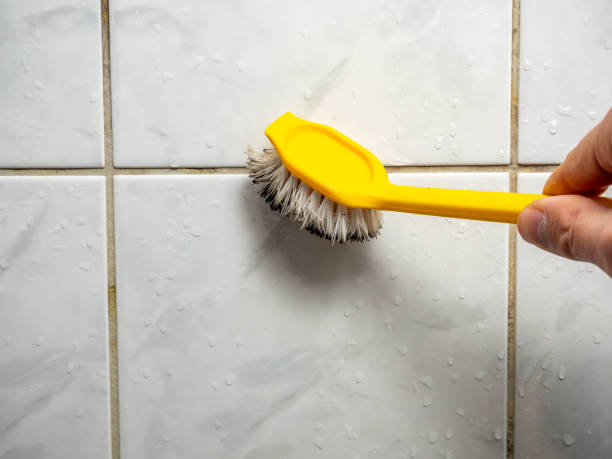 Best Best Mold Removal Companies  in Erwin, NC