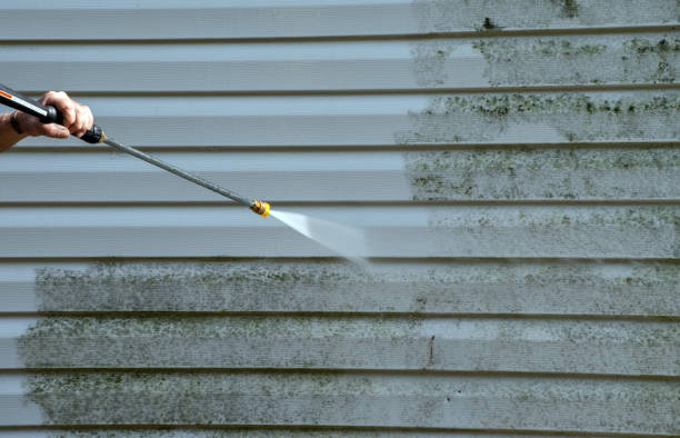 Best Attic Mold Removal  in Erwin, NC