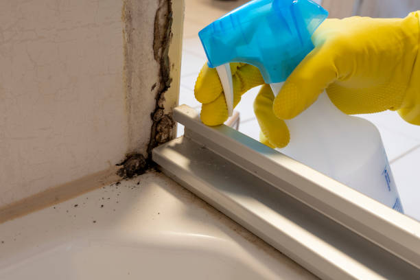 Best Emergency Mold Removal  in Erwin, NC